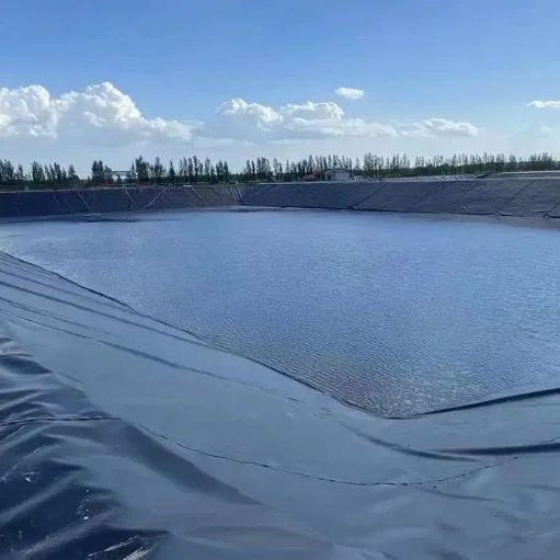 양식업 물고기 연못 Geomembrane