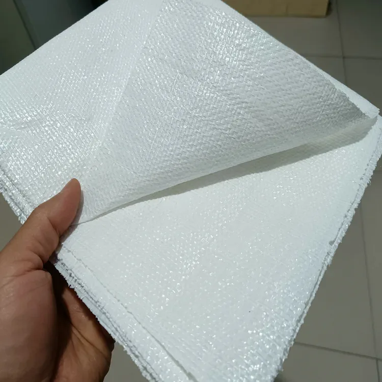 표준화되고 내구성이 뛰어난 잡초 차단 직물로 현대적인 녹색 재배 개발 촉진