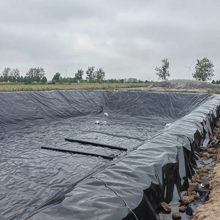 바이오가스 소화조 Geomembrane