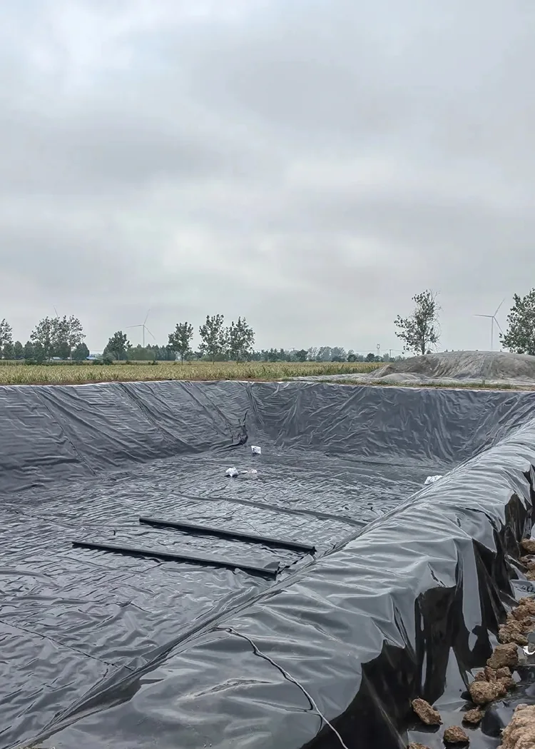 Biogas Digester Geomembrane