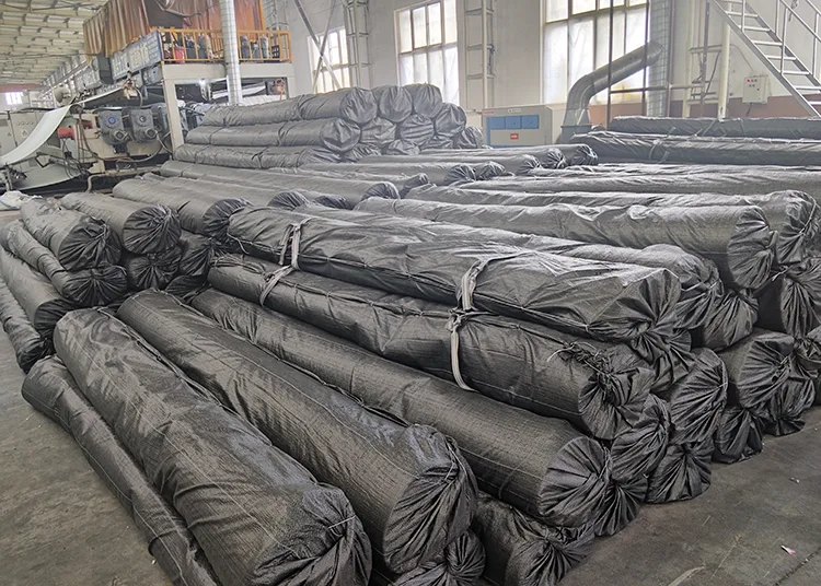 Hazardous Waste Landfill Geomembrane