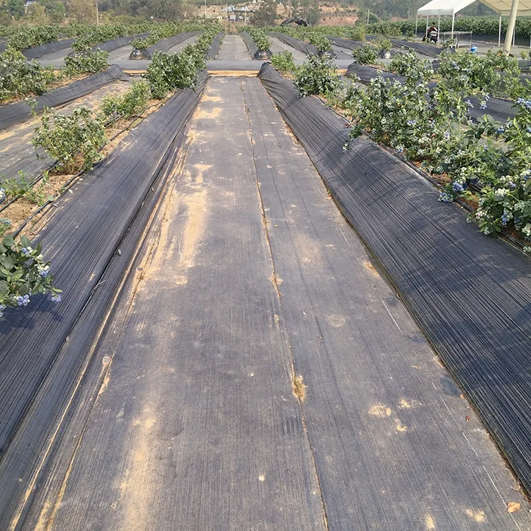 Biodegradable Agricultural Weed Barrier Fabric