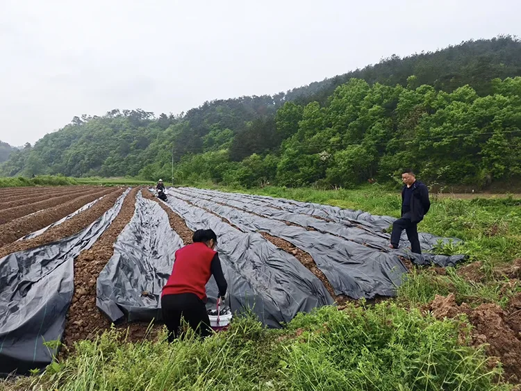 Slope Protection Geotextile Fabric