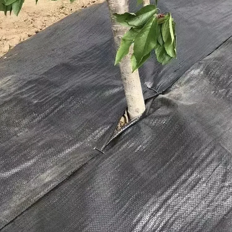 Biodegradable Agricultural Weed Barrier Fabric