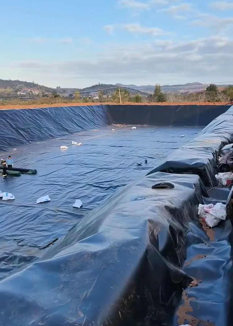 UV Resistant Fish Pond Geomembrane