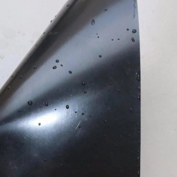 하수 처리 연못 Geomembrane